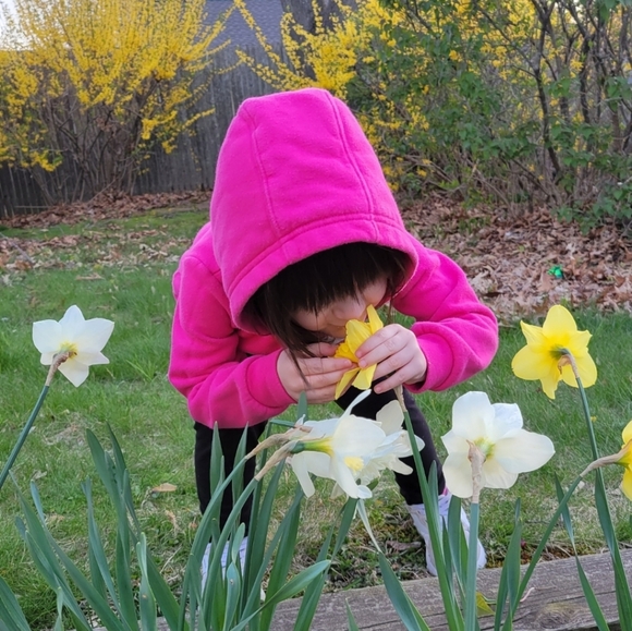 Welcome Everyone! Thank you so much for coming! Offers are Welcomed! - Picture 5 of 7